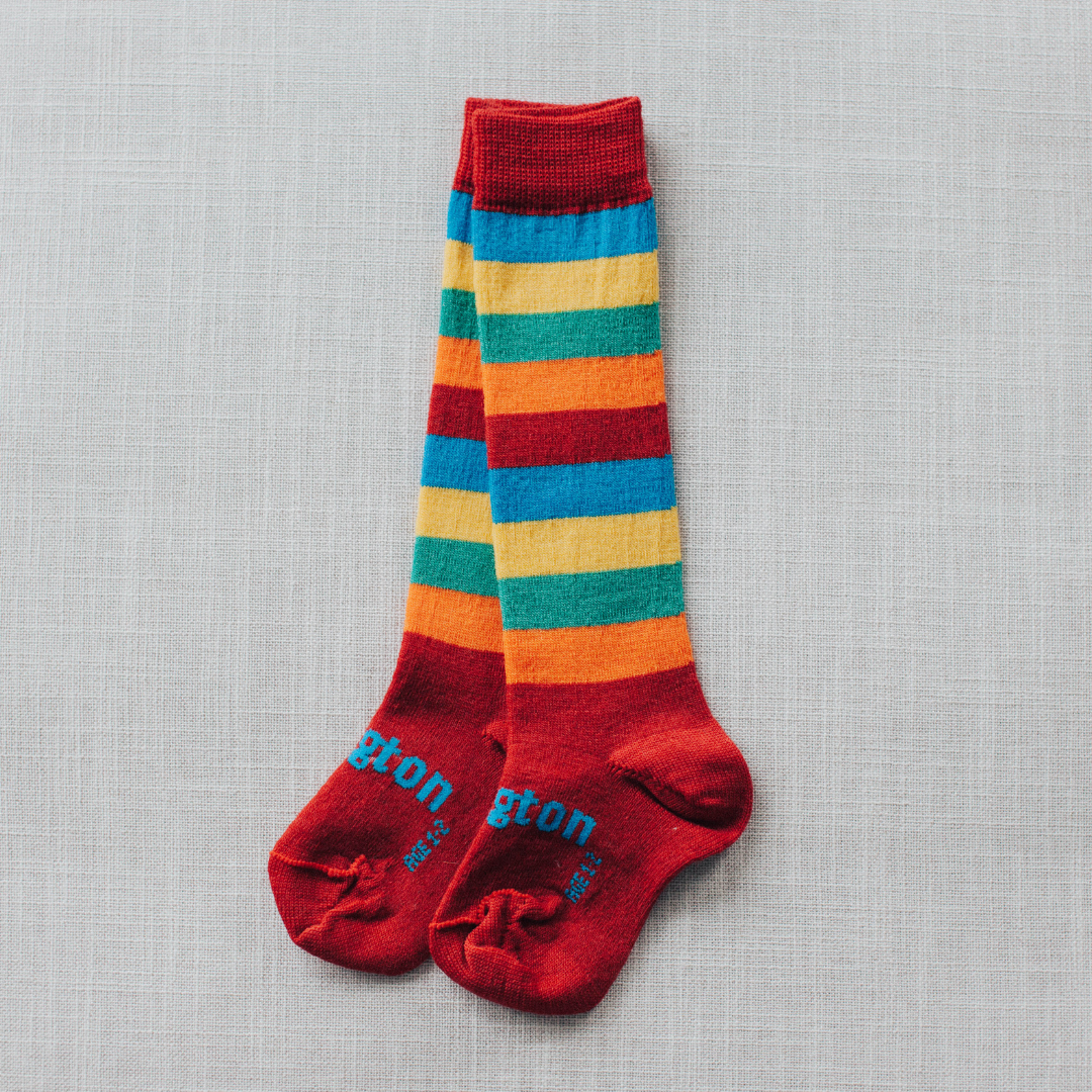 Lamington Knee High Socks - Scooter